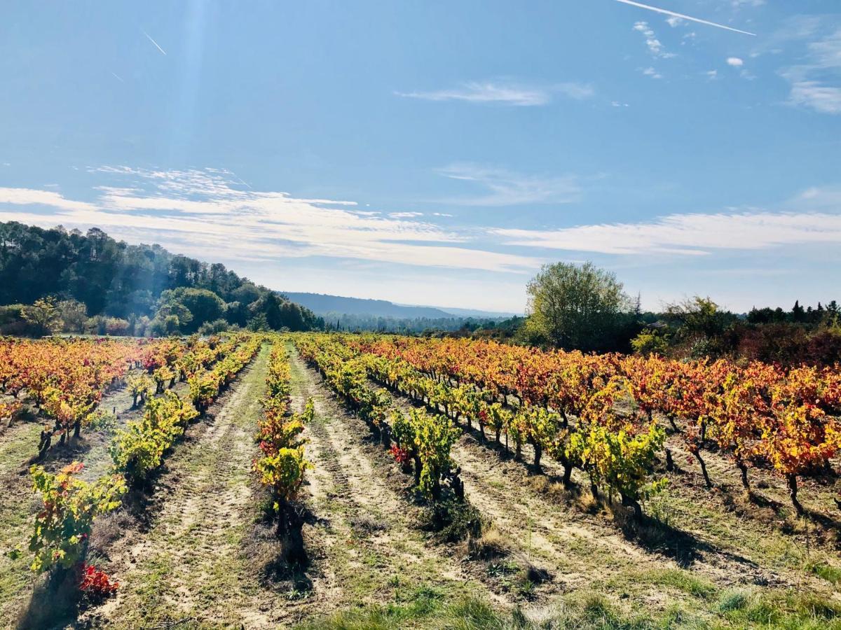 Villa La Maison D Ame - For The Perfect At The Mont Ventoux