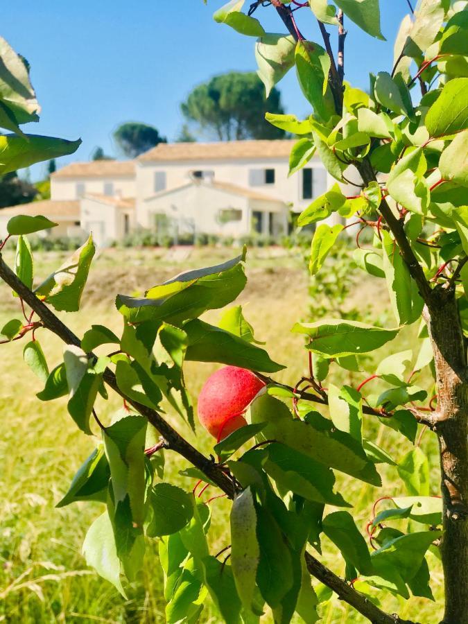 La Maison D Ame - For The Perfect At The Mont Ventoux Villa *